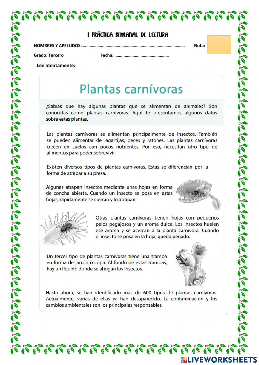 I practica de lectura