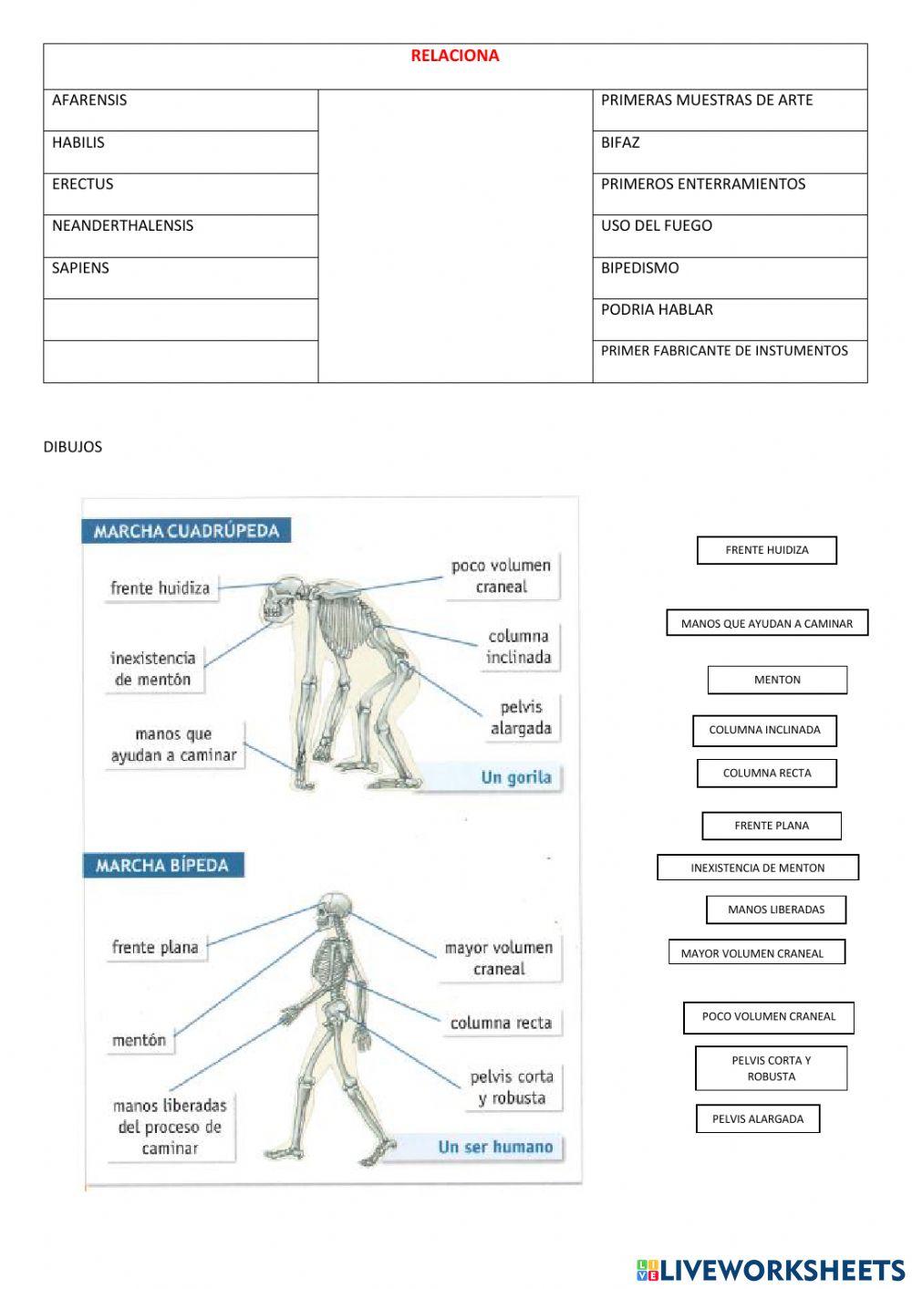 Eso 1 tema 1 historia