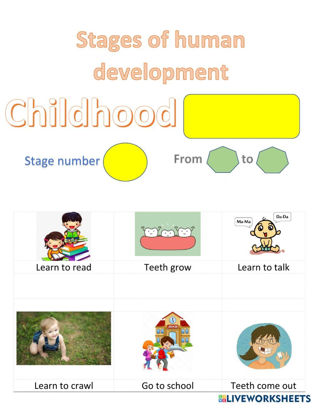 Stages of human deelopment
