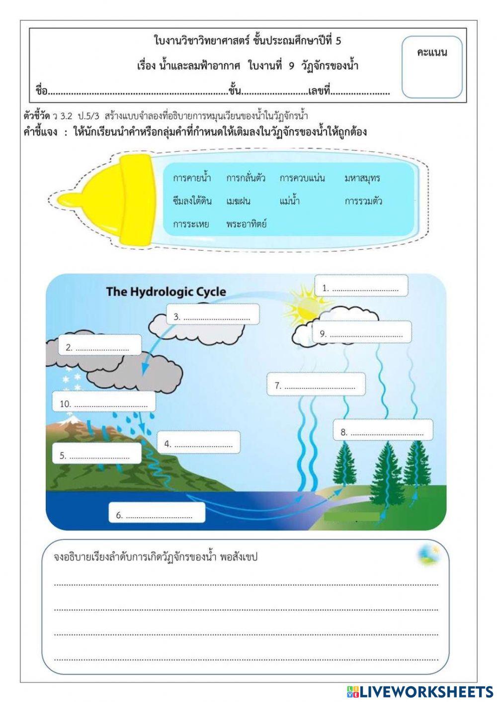 ใบงานวัฏจักรน้ำ