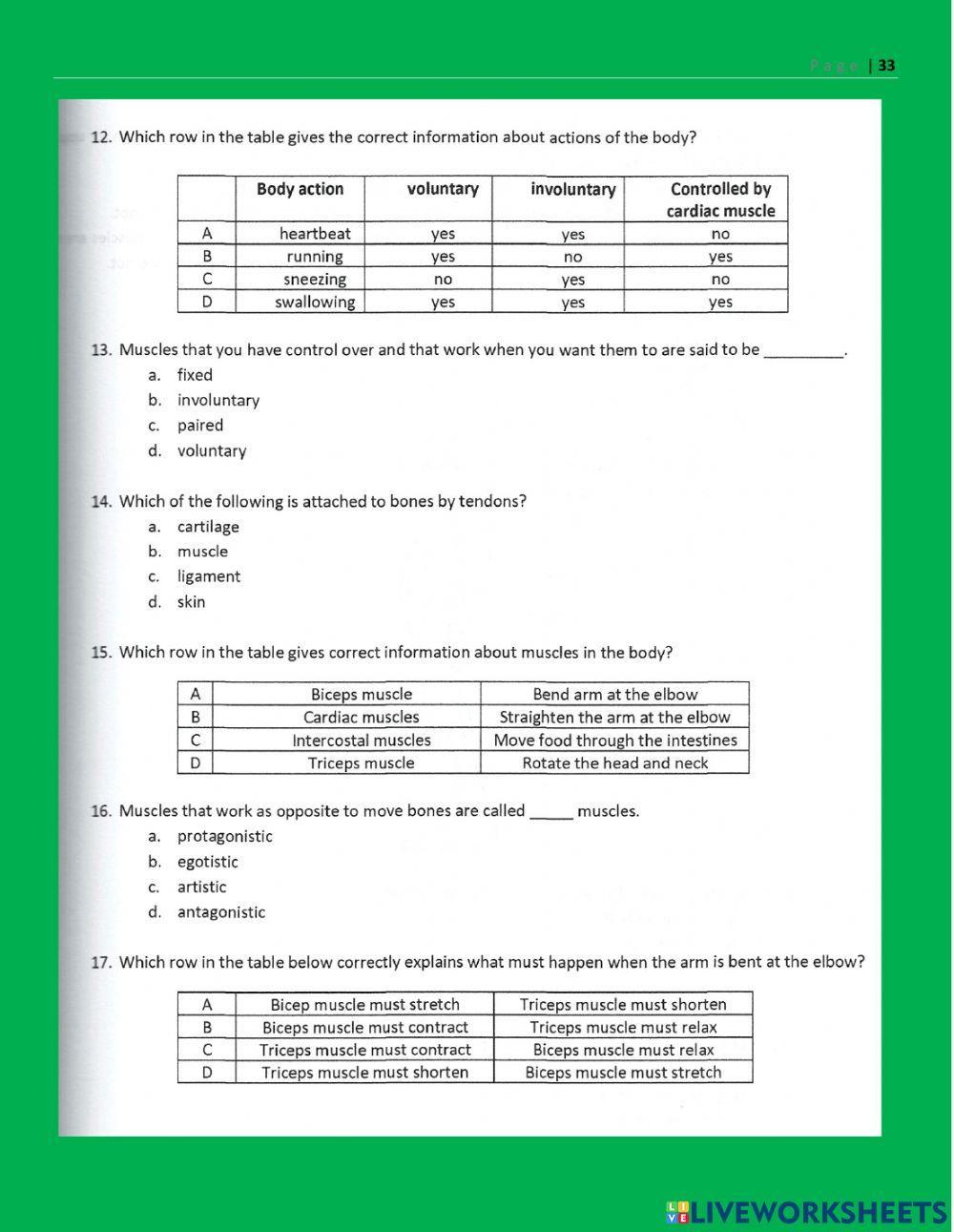 Muscles and Bones online worksheet | Live Worksheets