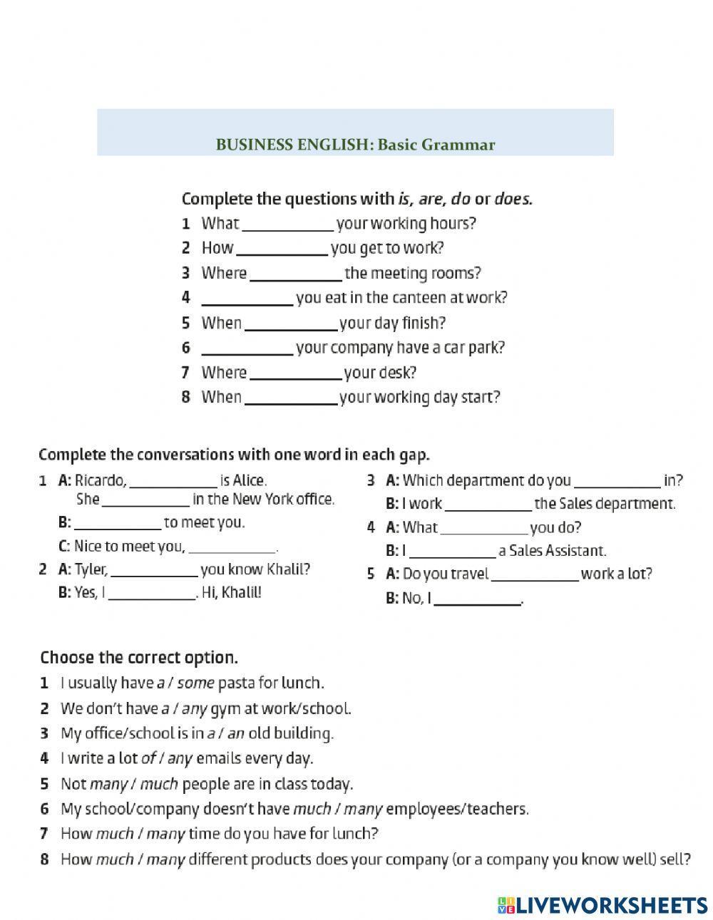 Business English: Basic Grammar I