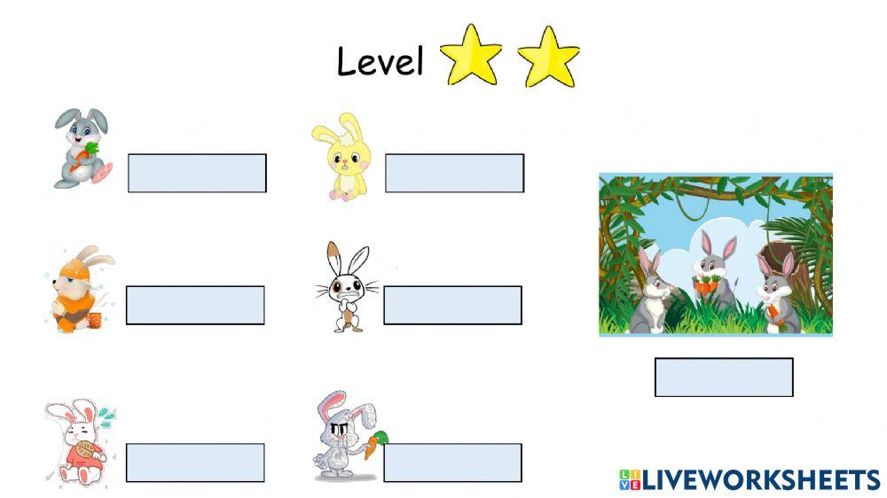 Unit 2 - Worksheet - 2 stars