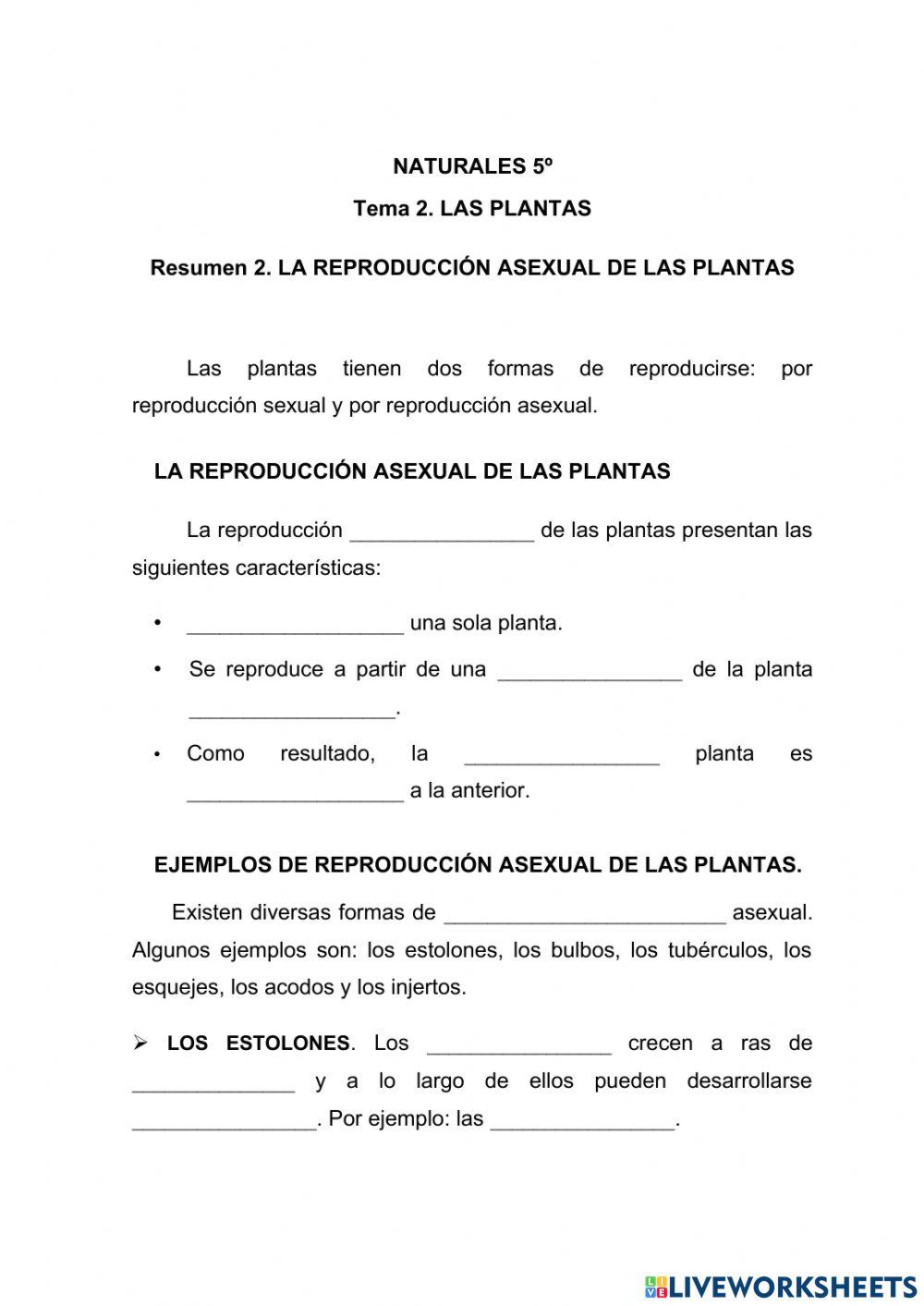 La reproducción asexual de las plantas.