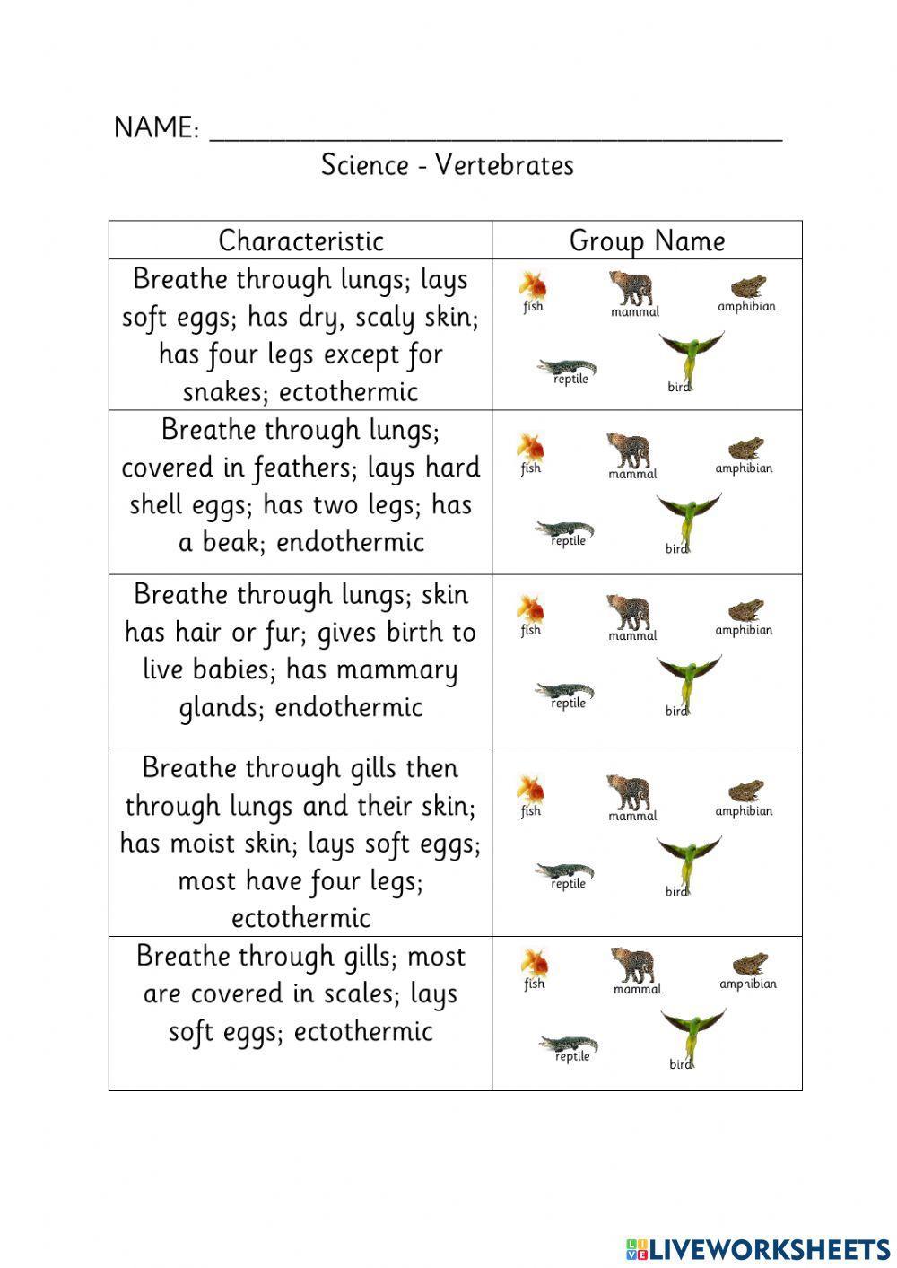Which Vertebrate Is It?