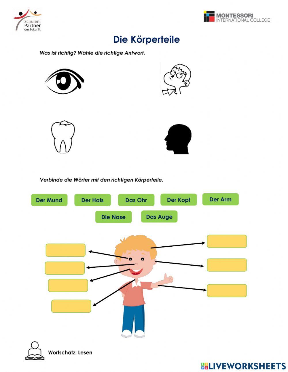 Körperteile-Les… | Free Interactive Worksheets | 2182920, image size:1000x1291