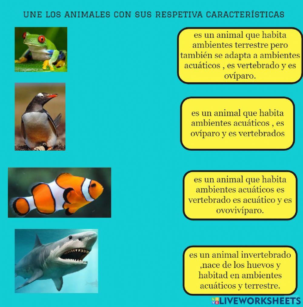 Clasificacion de animales