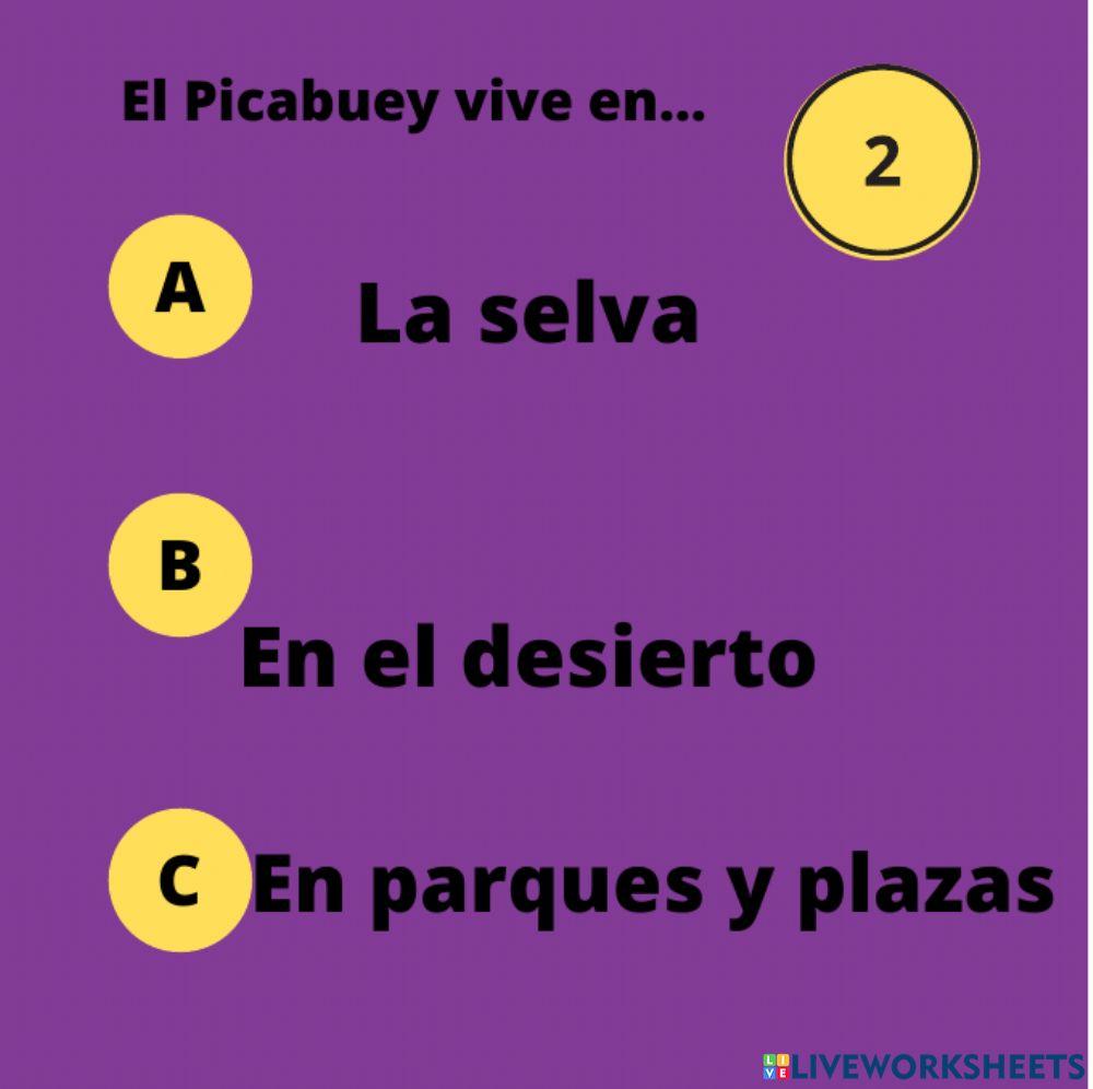 Picabuey