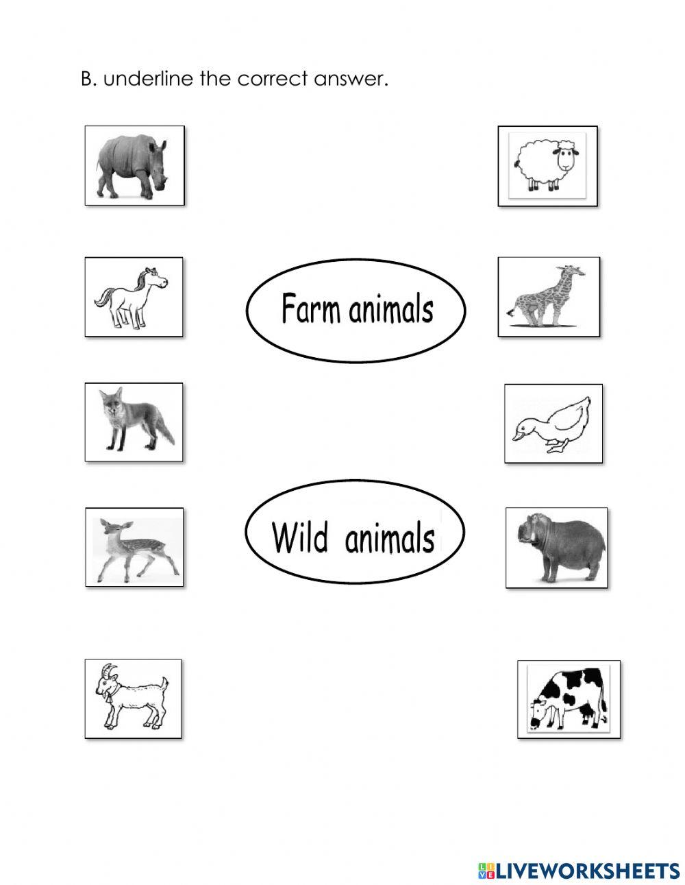 Animals