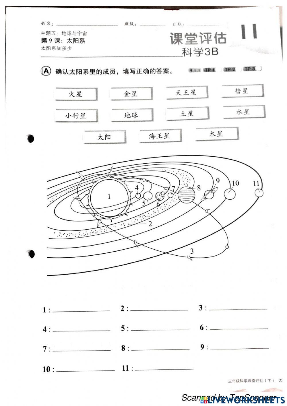 三年级 科学 评估10，11