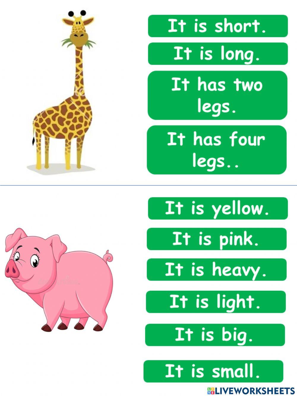 Describing animals