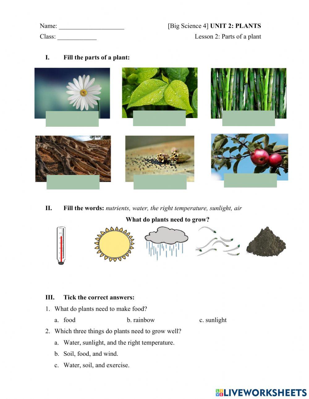 Big Science 4 PLANTS