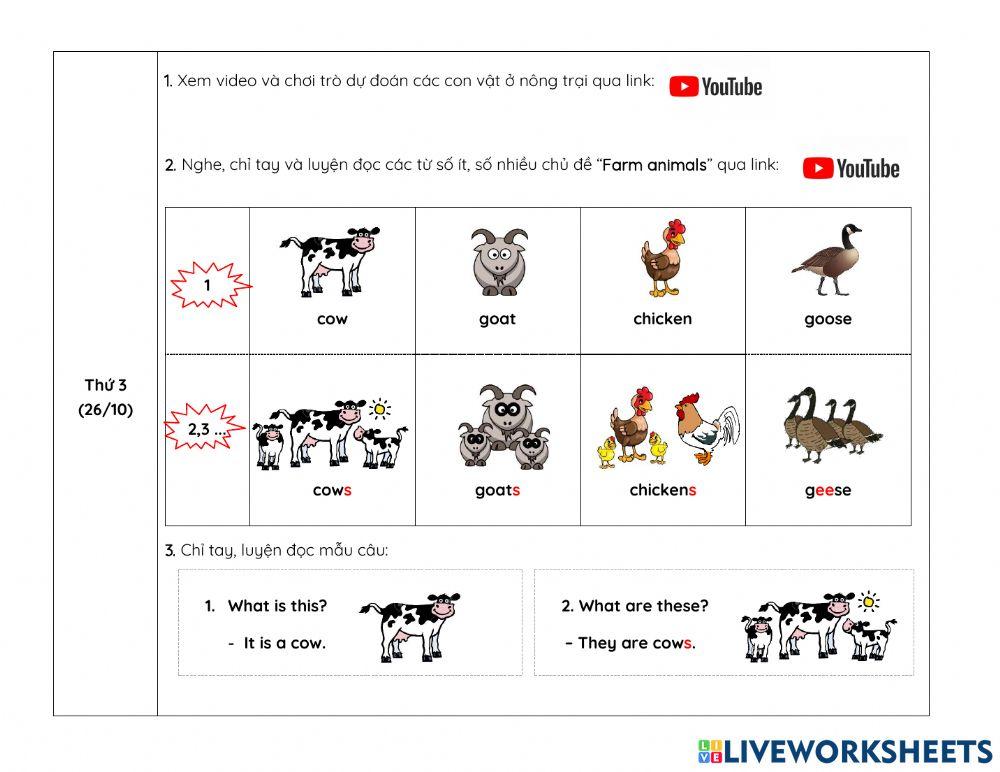 Nội dung học tuần 13 NIK1