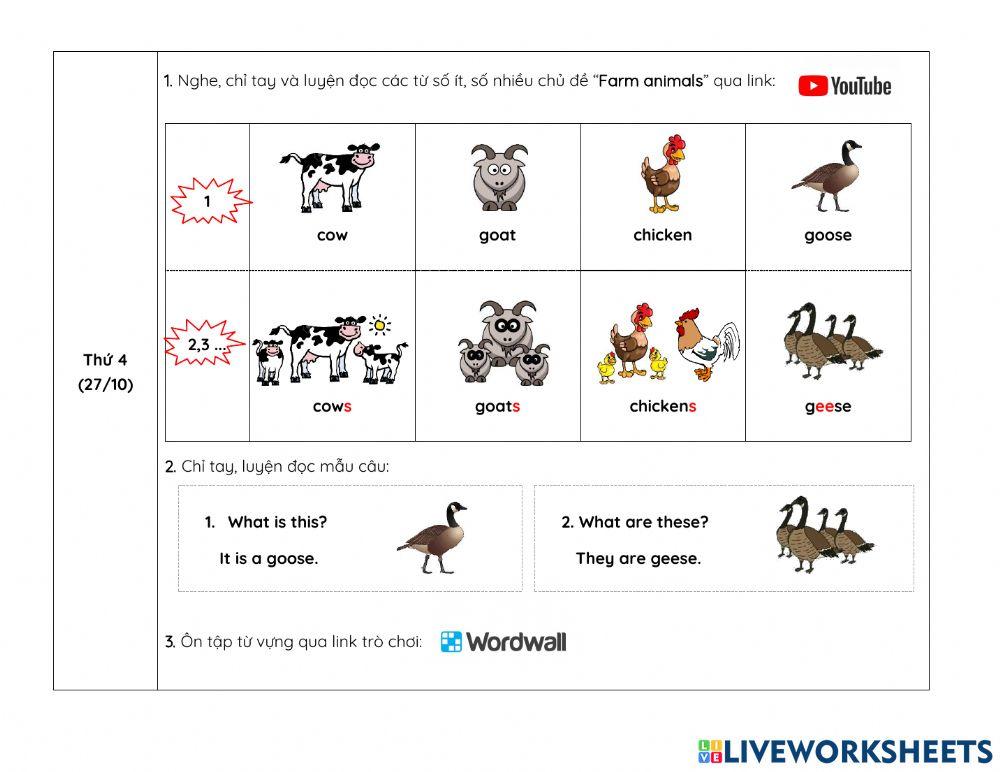 Nội dung học tuần 13 NIK1