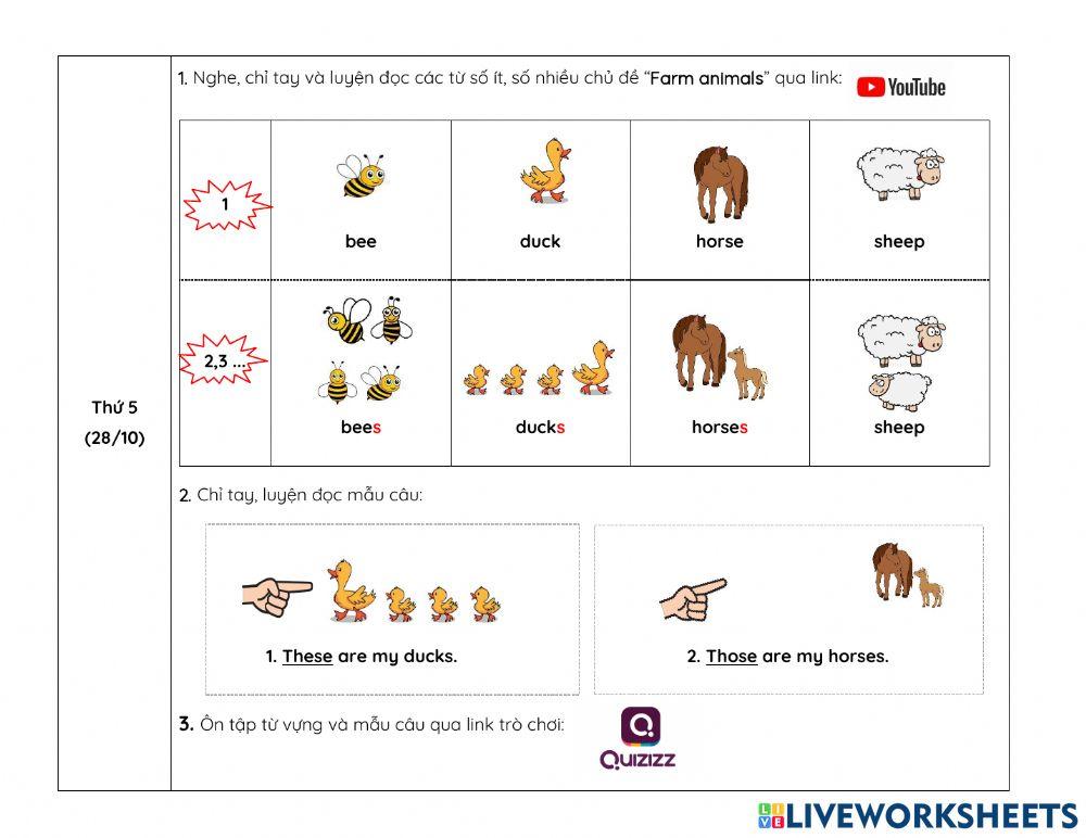 Nội dung học tuần 13 NIK1