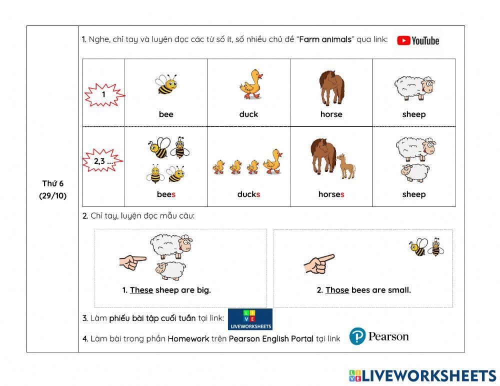 Nội dung học tuần 13 NIK1