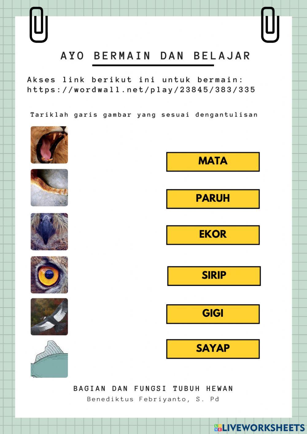 Bagian dan Fungsi Tubuh Hewan