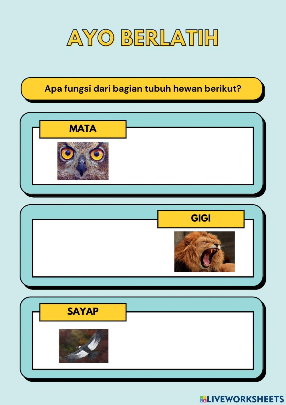 Bagian dan Fungsi Tubuh Hewan