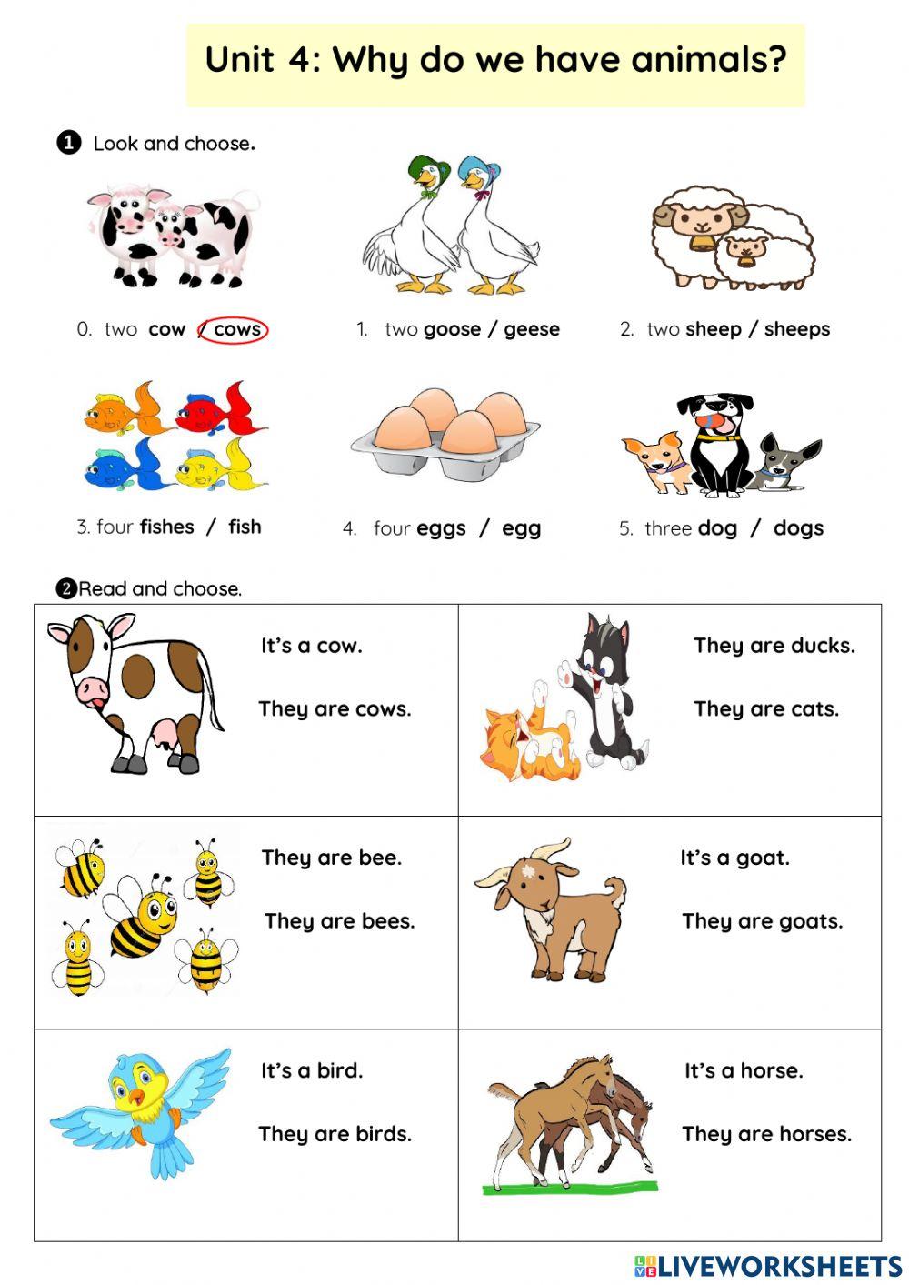 Phiếu tuần 13 NIK1