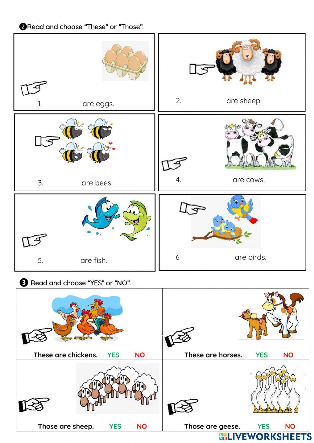 Phiếu tuần 13 NIK1