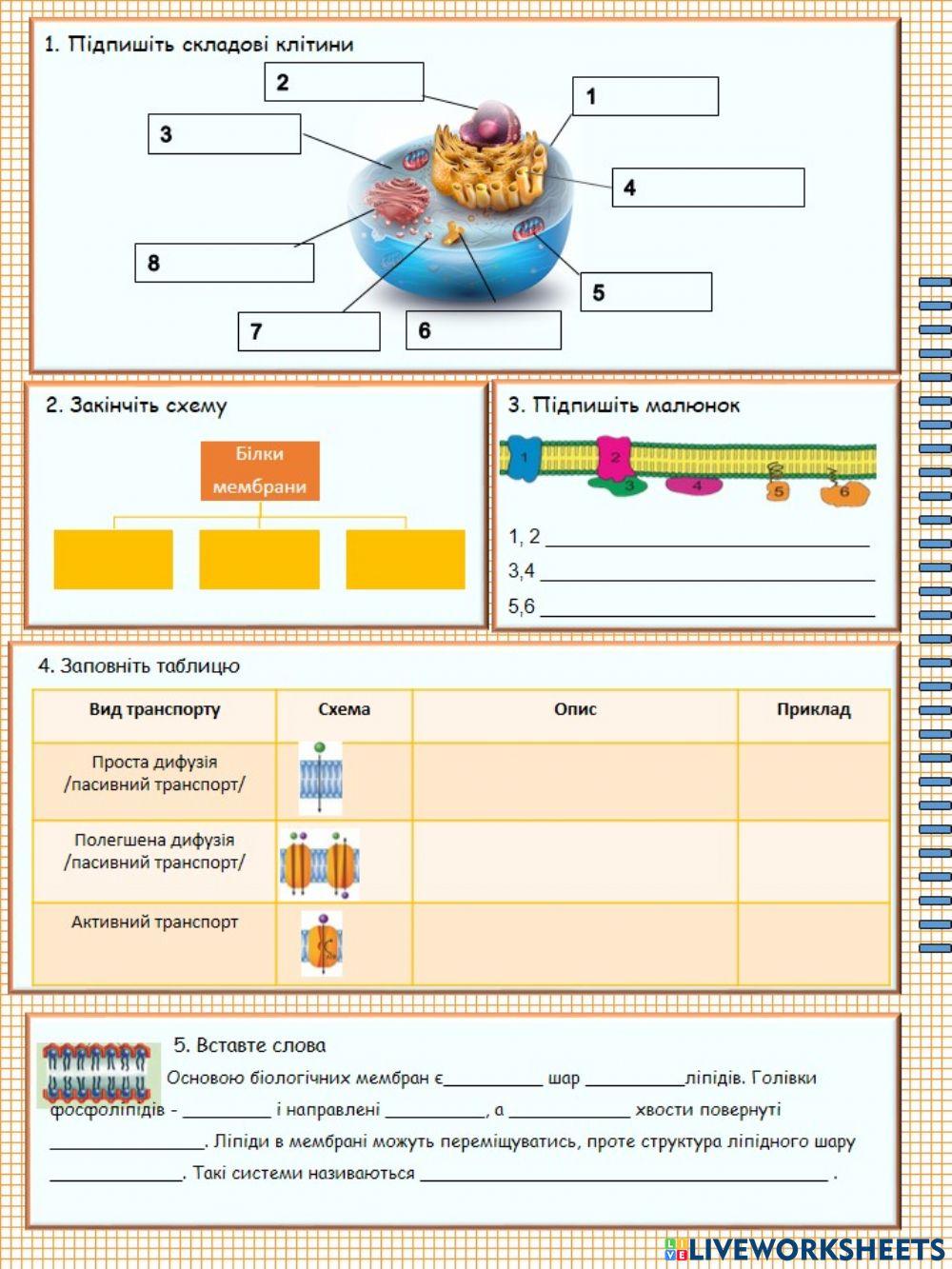 Будова клітини