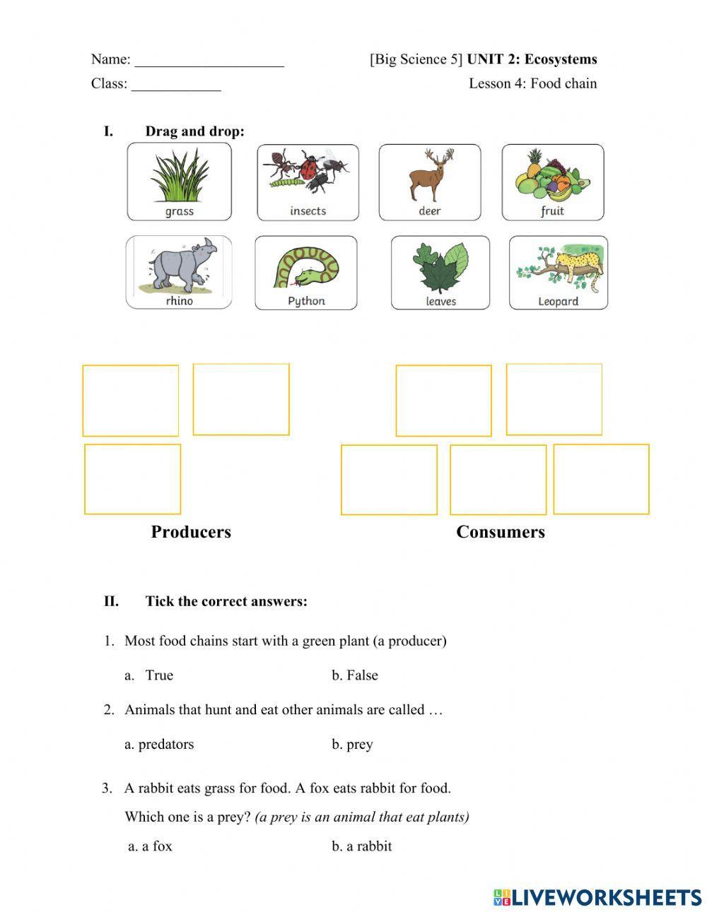 Big Science 5 Food chain