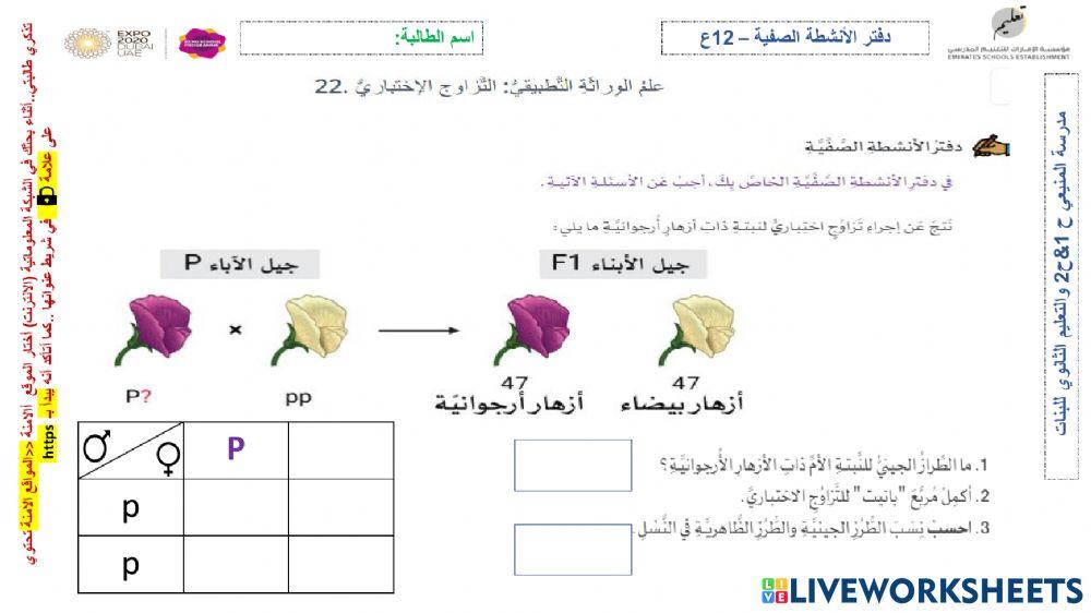 التزاوج الاختباري