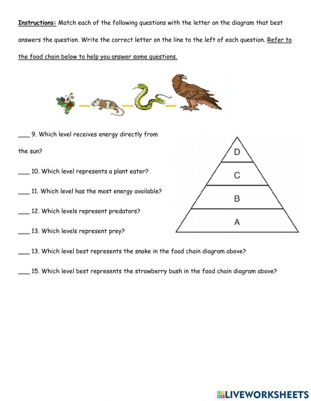 Ecology Review Worksheet Ecology Review Worksheet