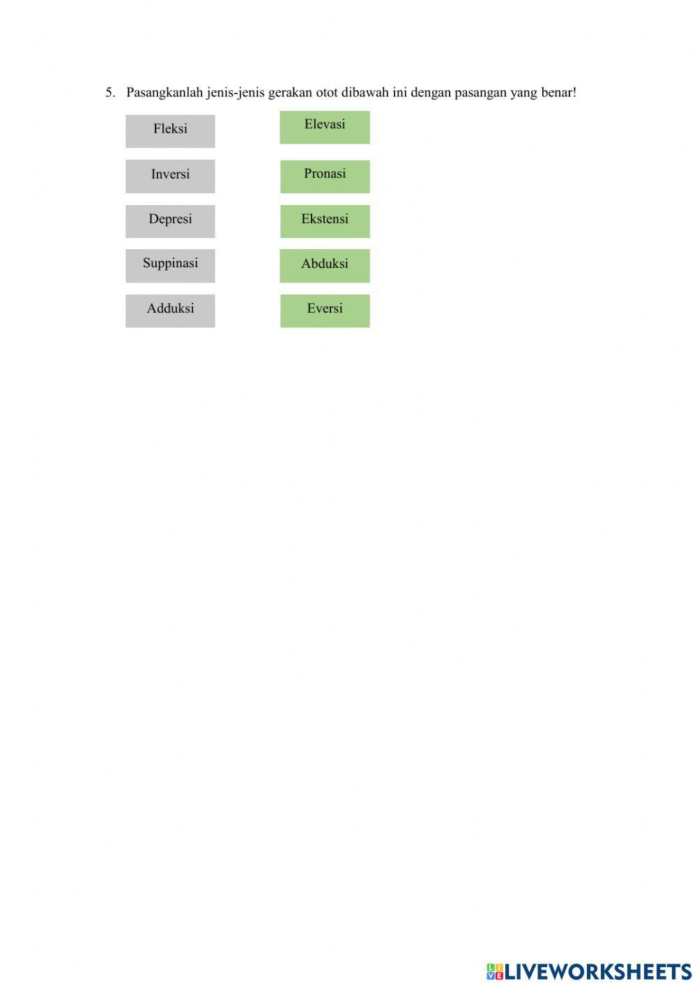 Lkpd sistem gerak manusia (sendi & otot)