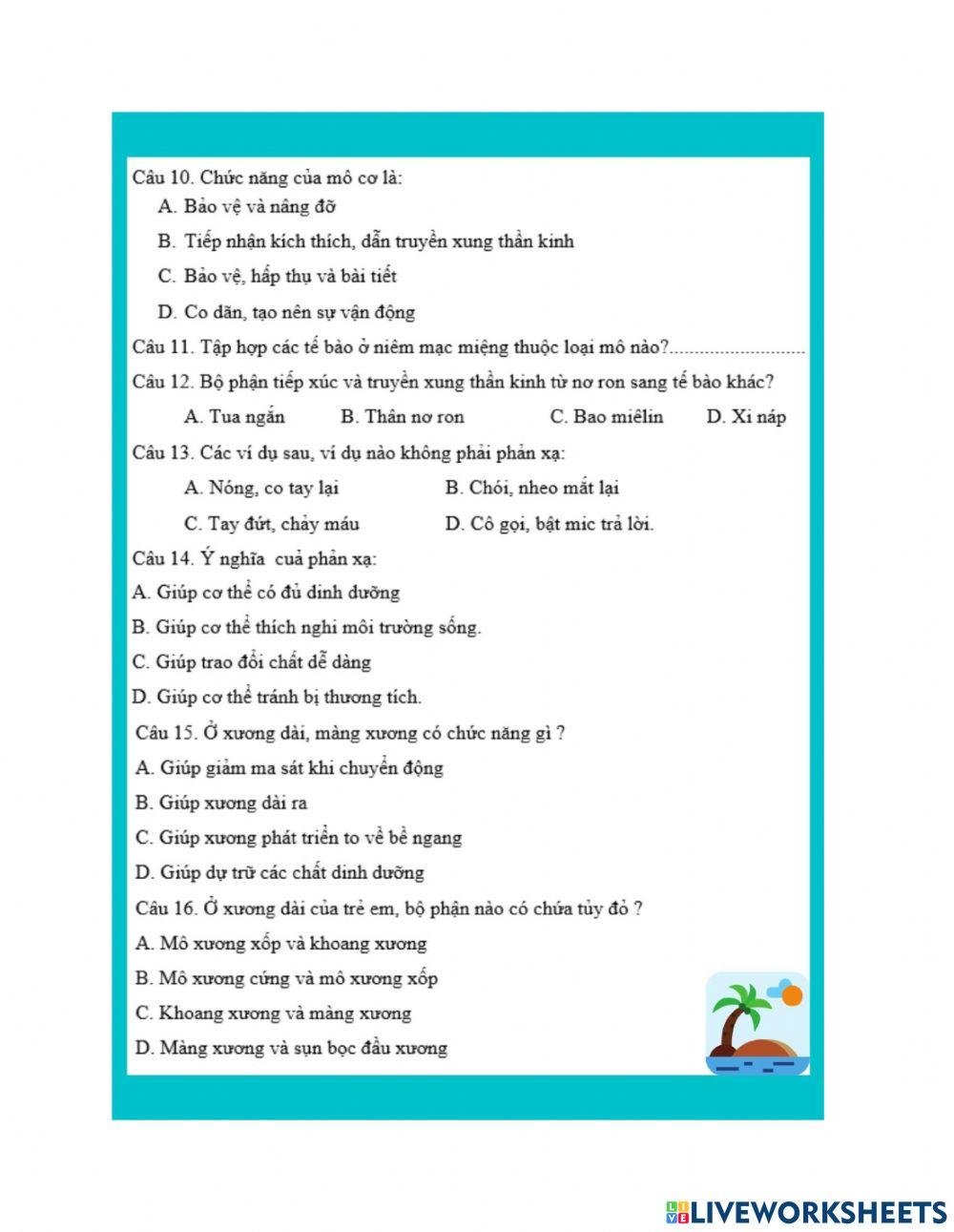 Ôn tập giữa hki sinh 8