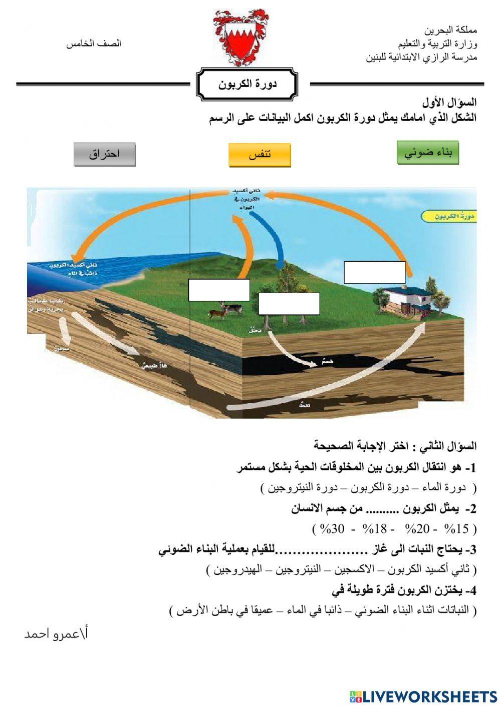 دورة الكربون