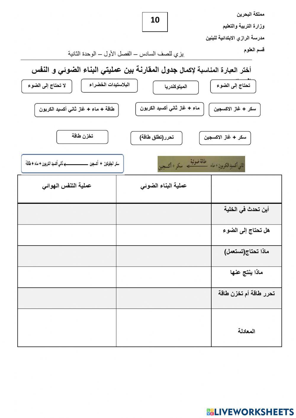 عملية التنفس و البناء الضوئي