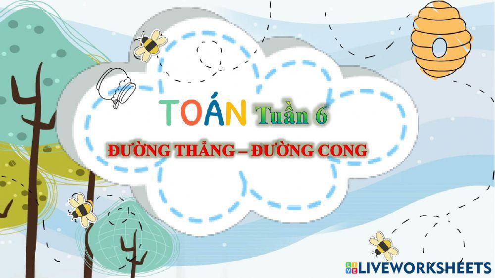 Tuần 6: Đường thẳng, đường cong