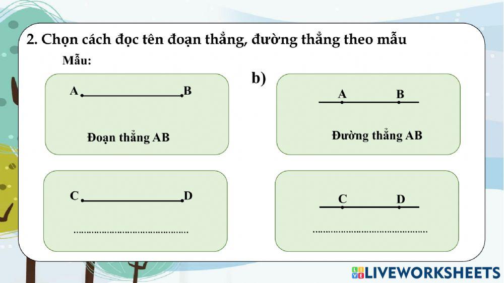 Tuần 6: Đường thẳng, đường cong