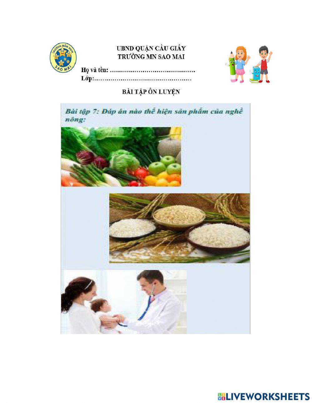 Tìm hiểu các nghề