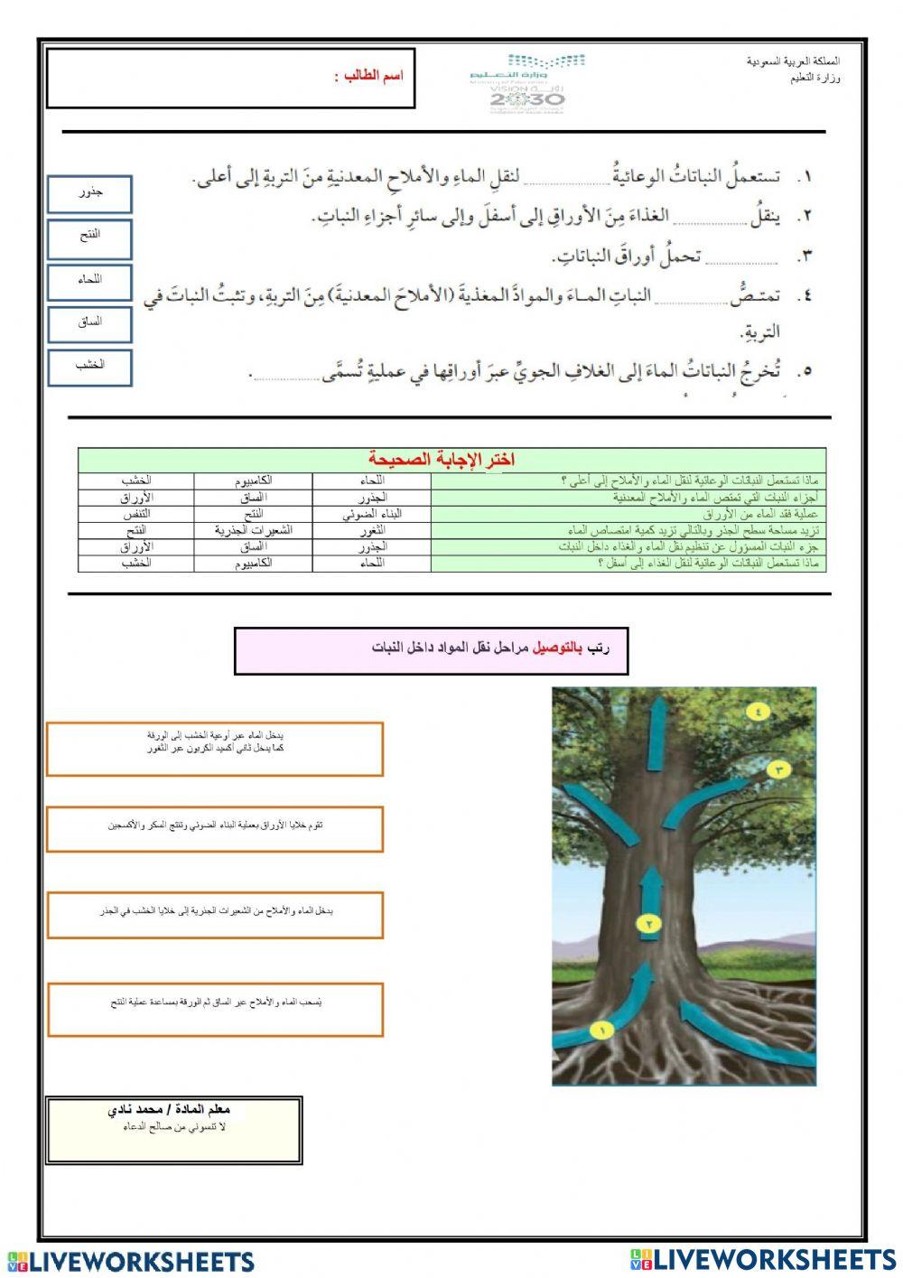 عمليات الحياة في النباتات