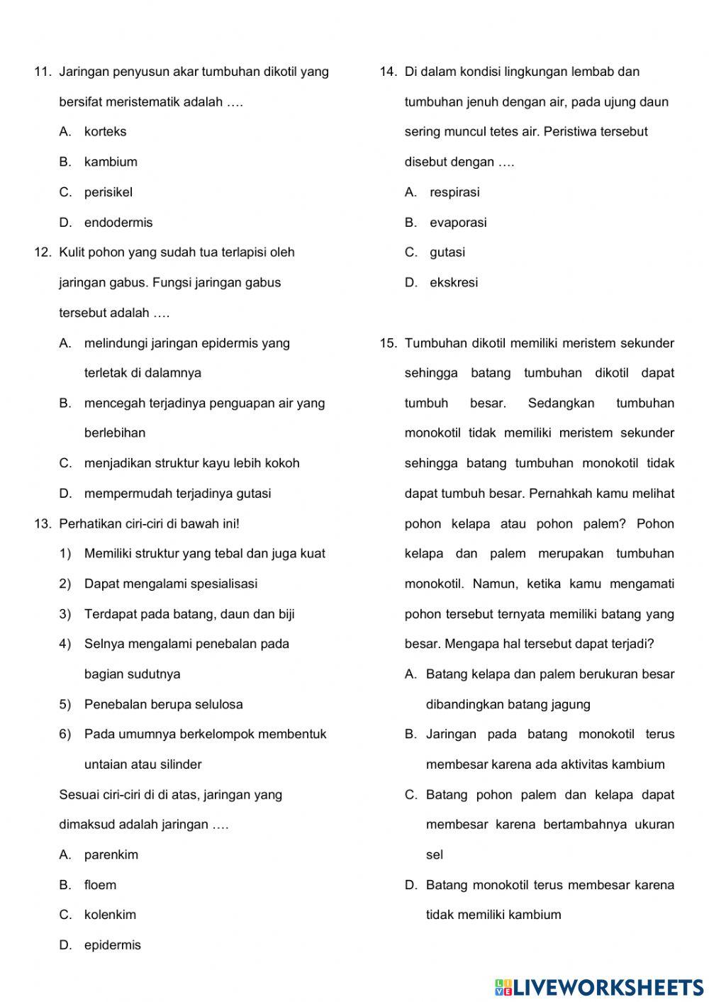 Penilaian Harian Struktur Jaringan Tumbuhan