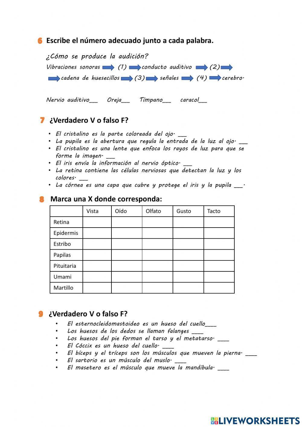 Natural Science 6º1