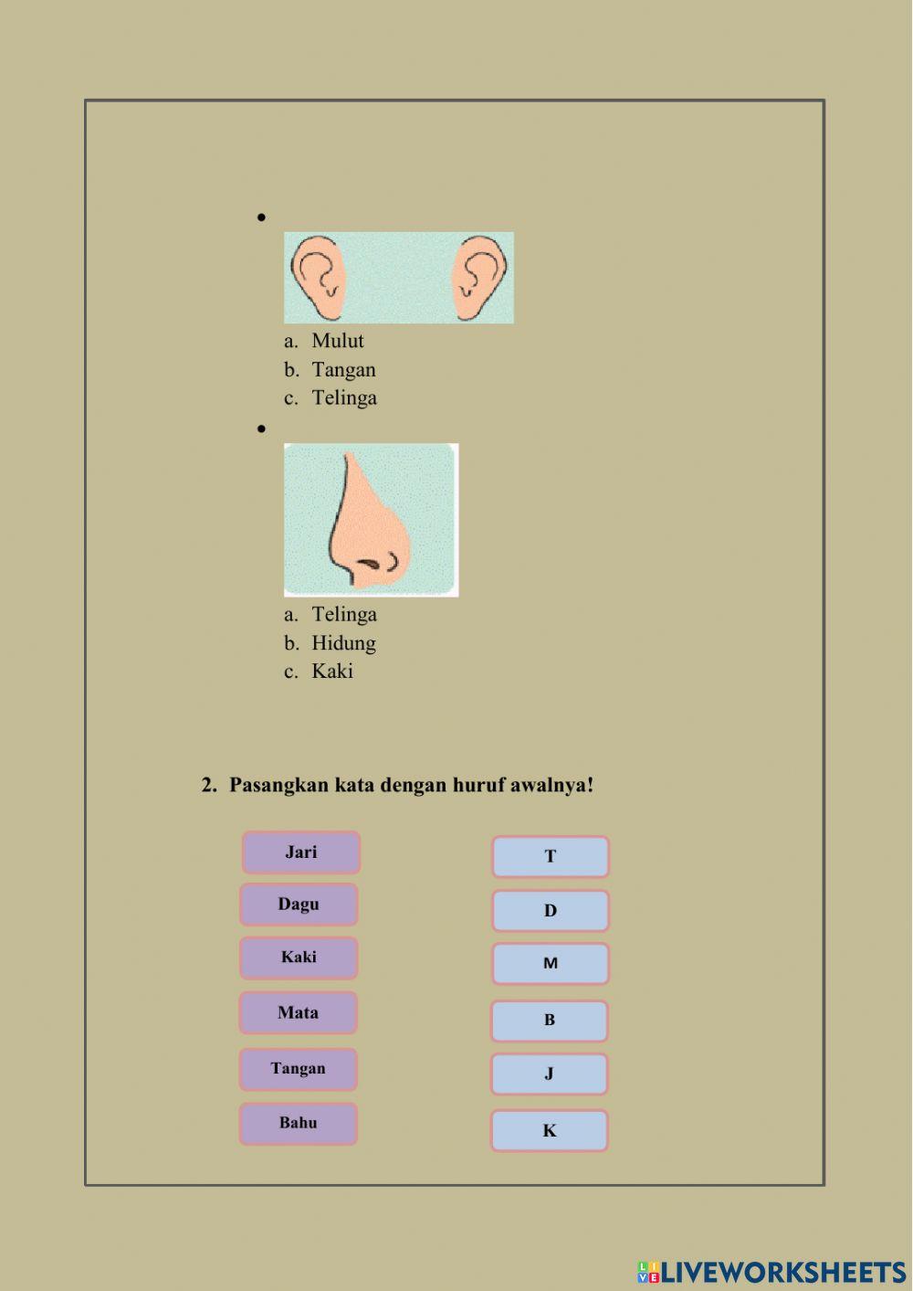 Tema 1 Subtema 2 -Tubuhku-