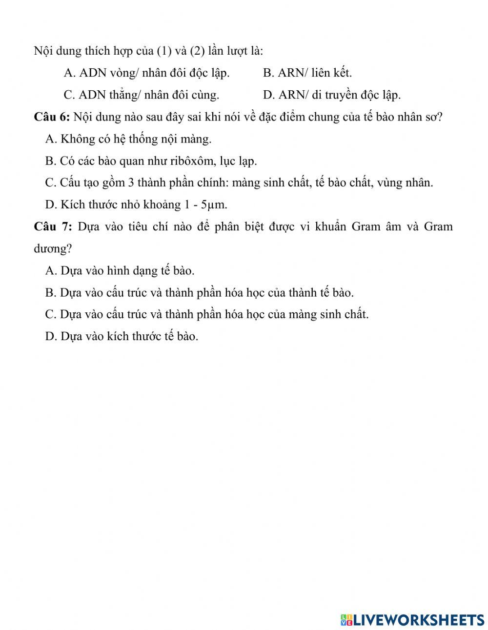 Sinh 10. Bài 7. Tế bào nhân sơ