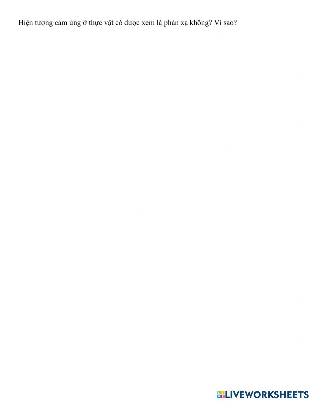 Ôn tập kiến thức phản xạ