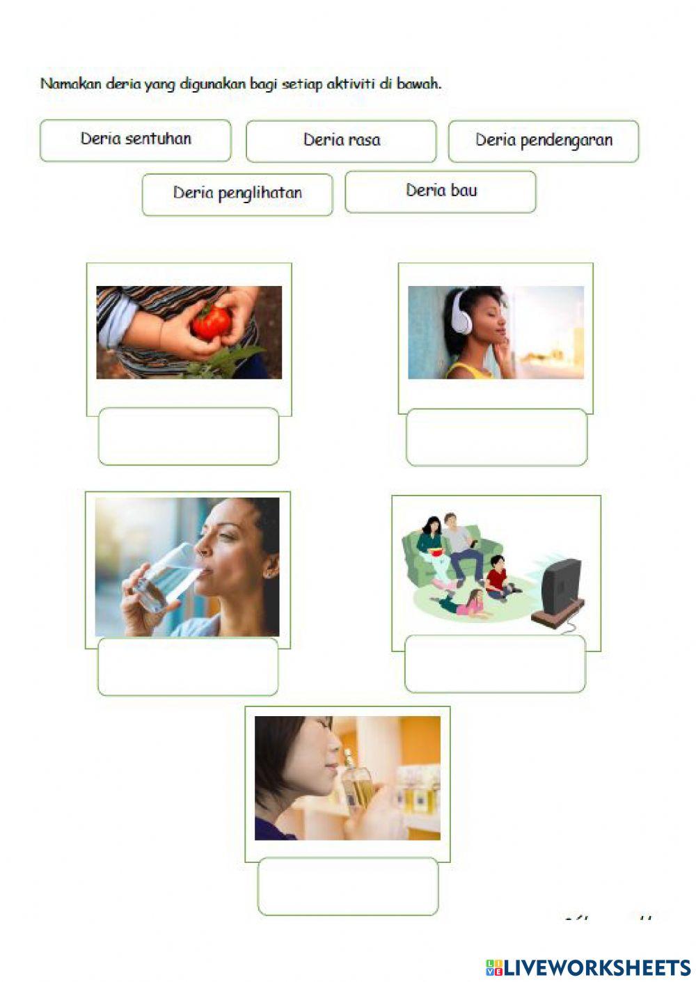 Kemahiran Proses Sains Tahun 1