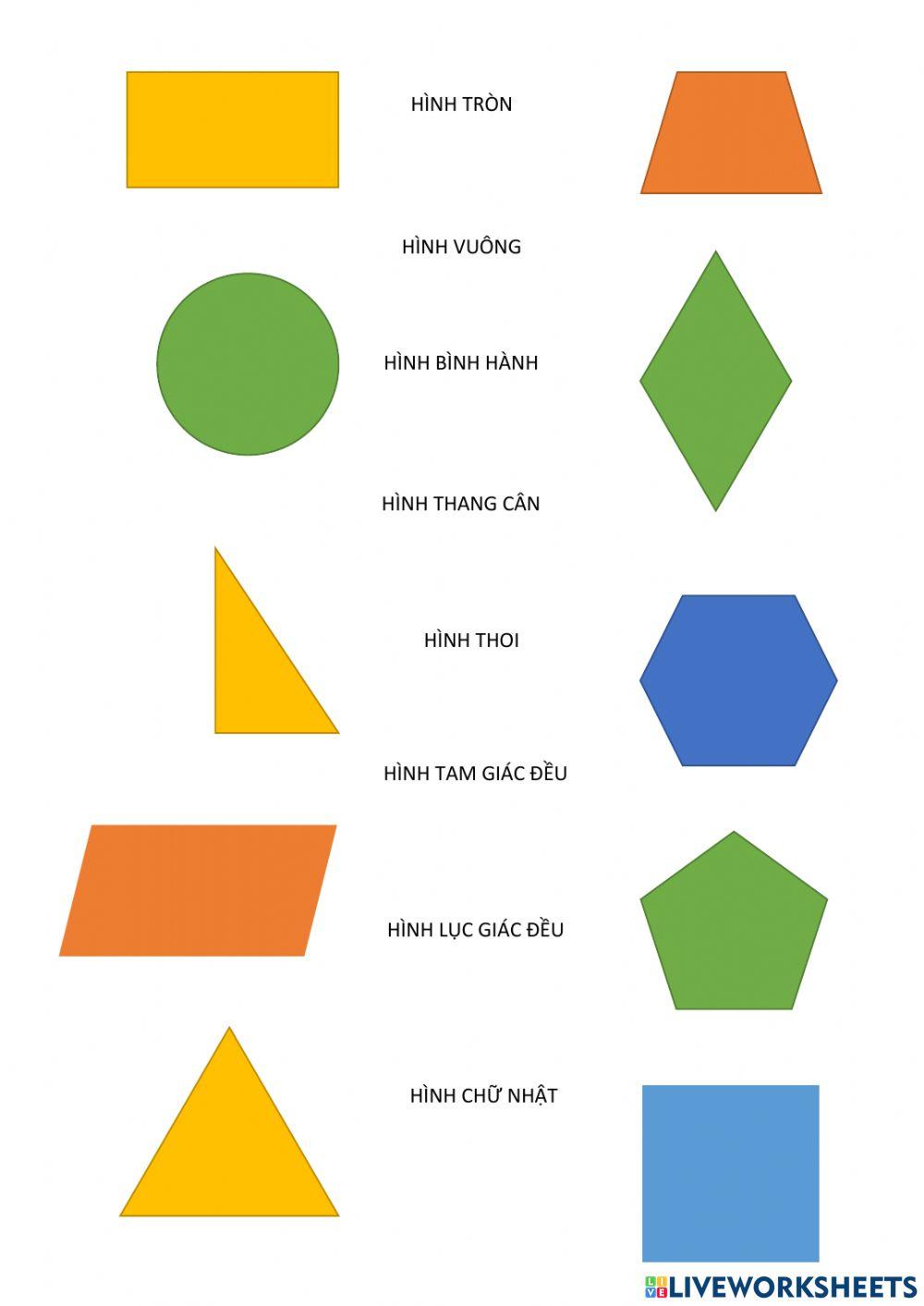 Các dạng hình học lớp 6