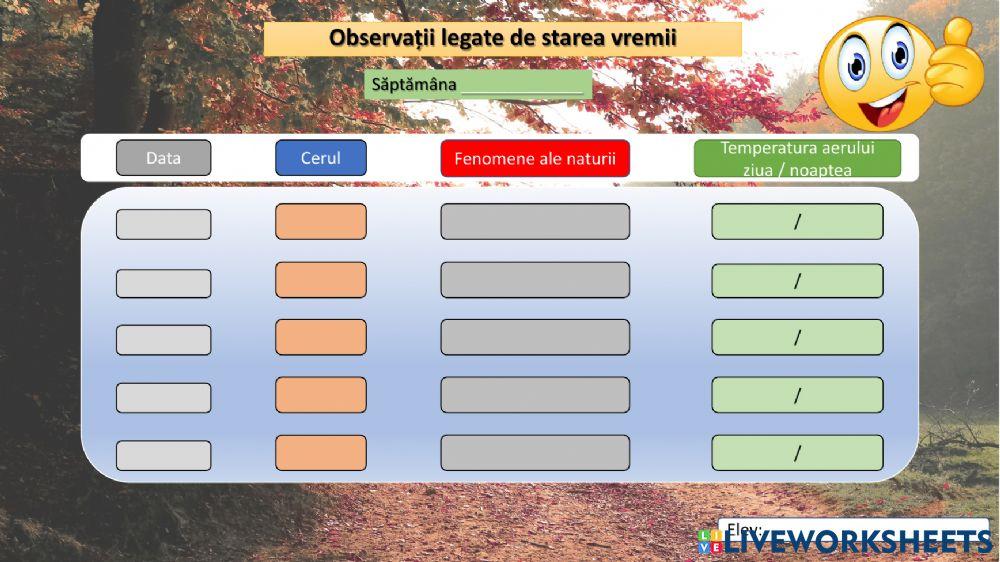Observatii legate de starea vremii