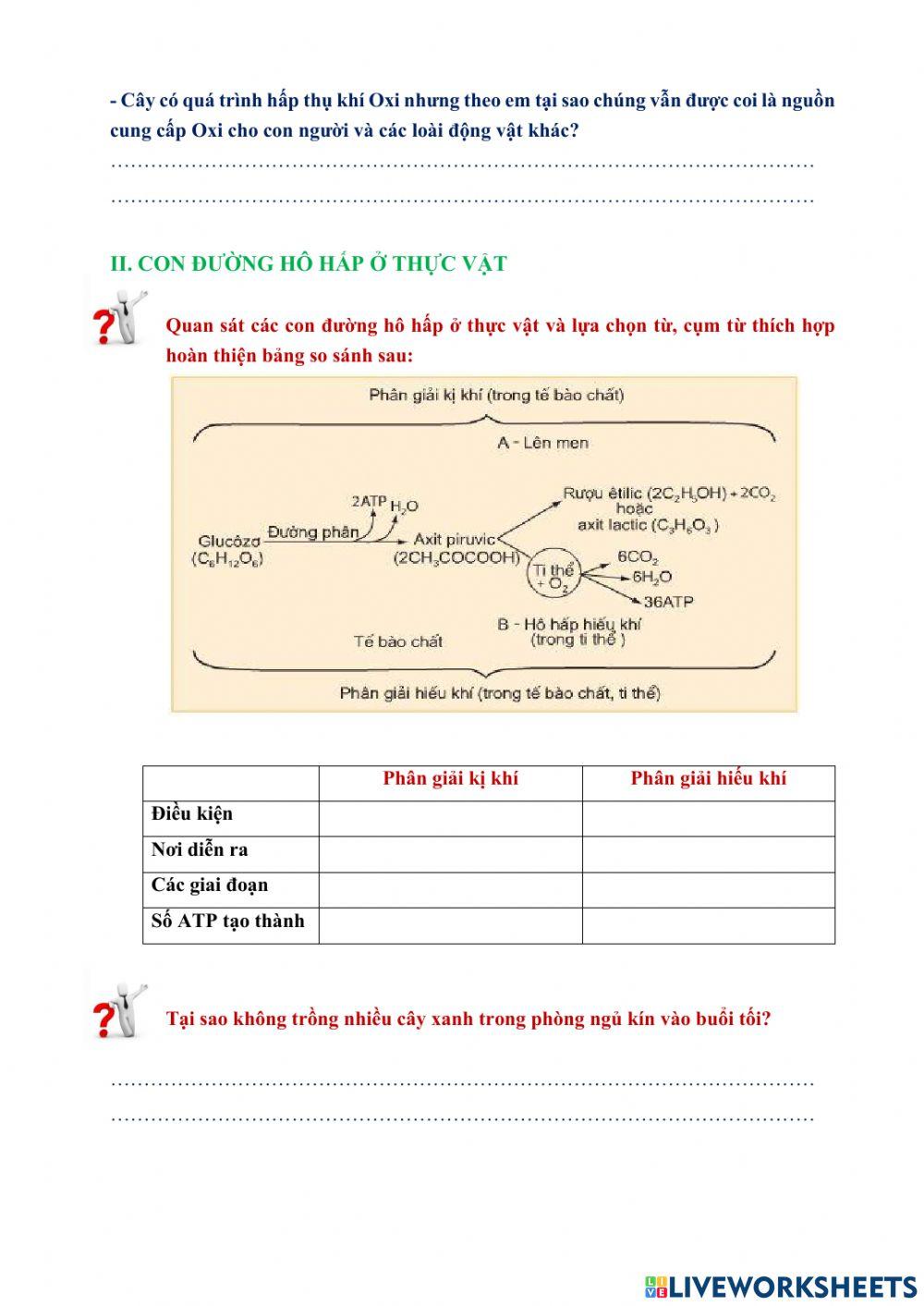 SH11-Hô hấp ở TV