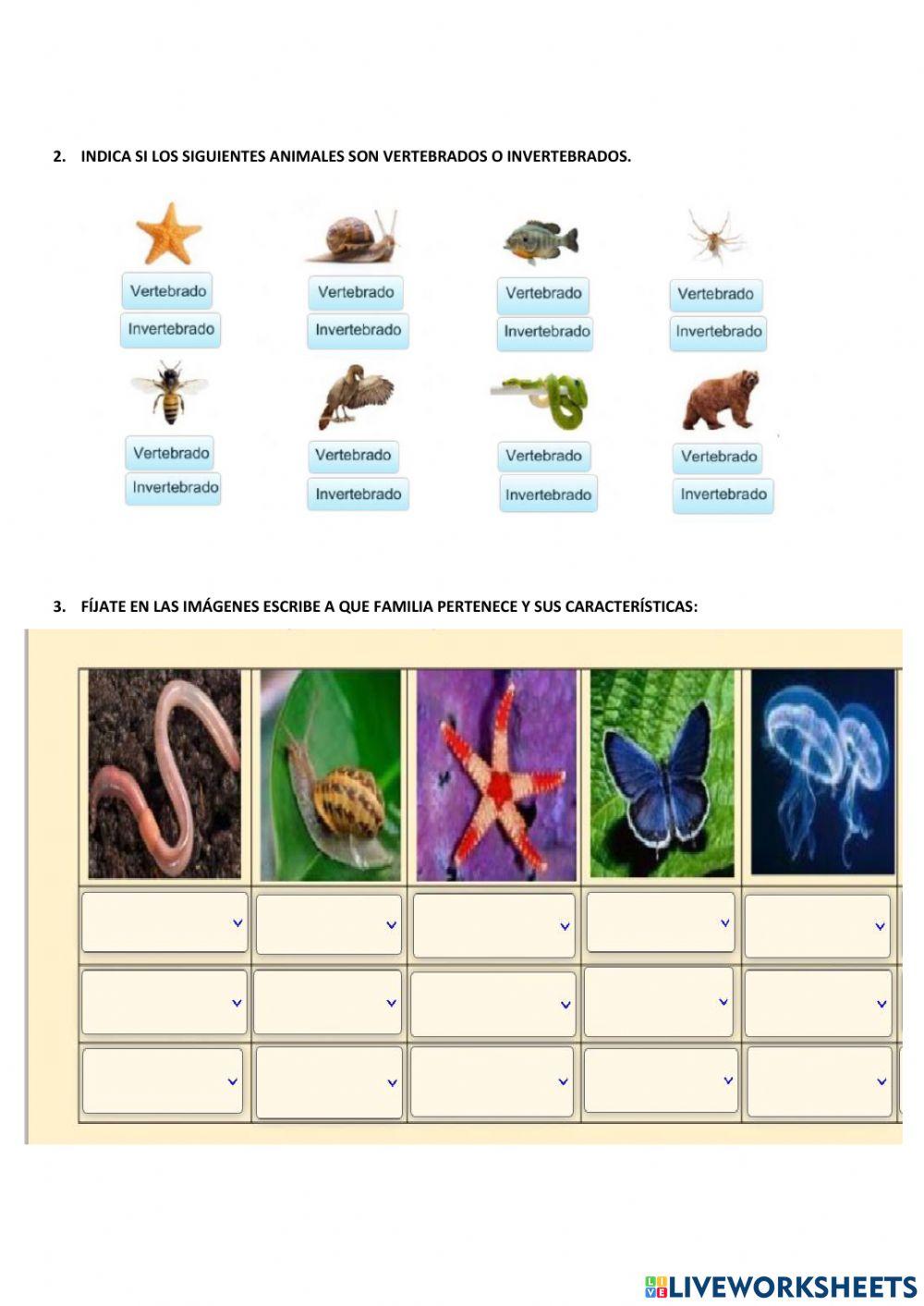 SUMATIVA CIENCIAS NATURALES  VERTEBRADOS-INVERTEBRADOS