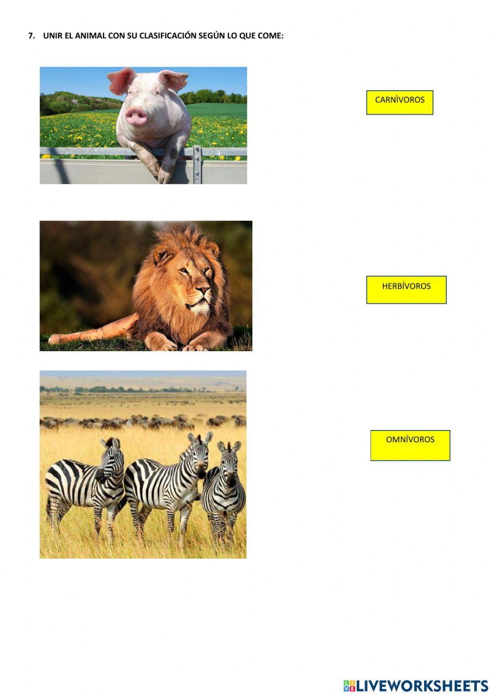 SUMATIVA CIENCIAS NATURALES  VERTEBRADOS-INVERTEBRADOS