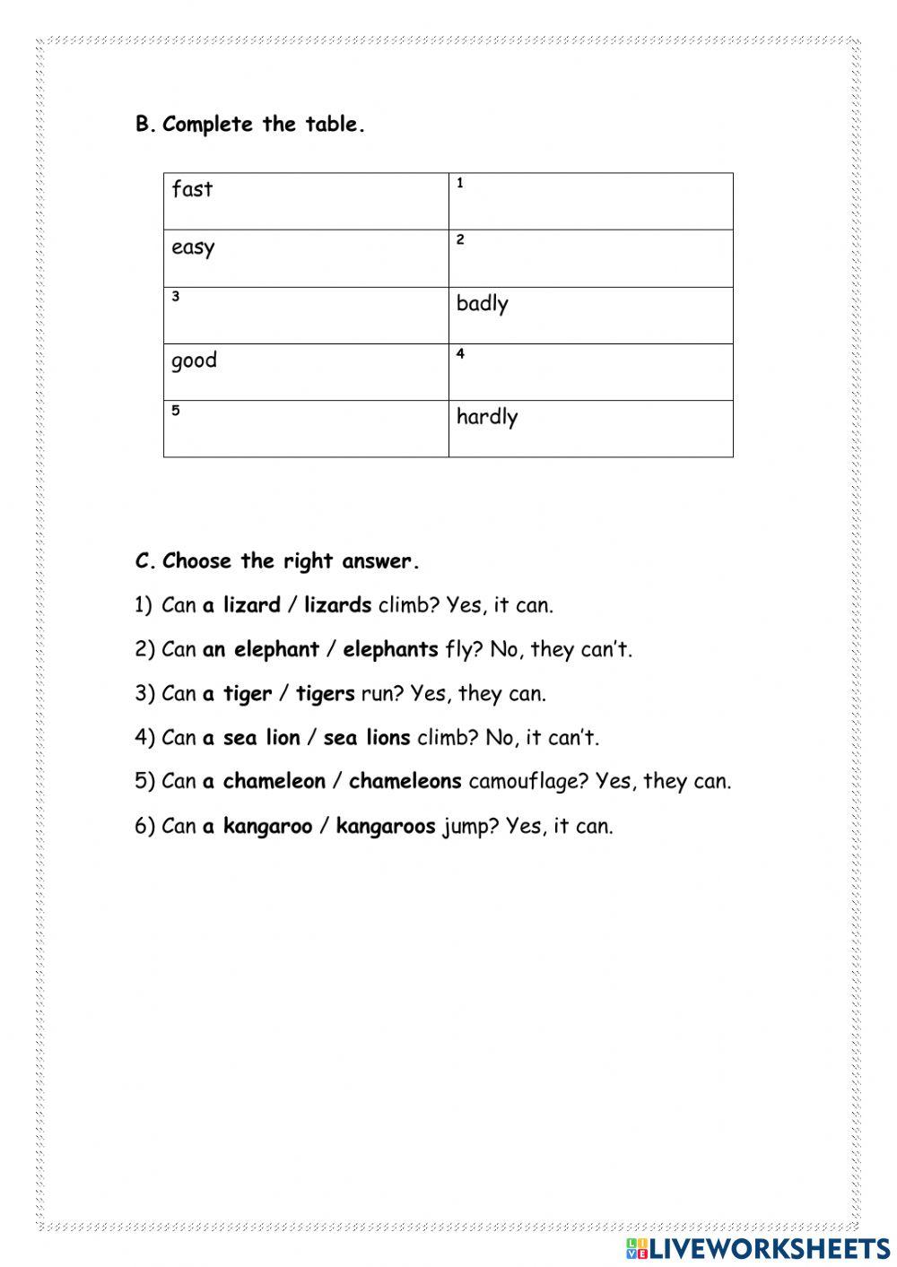 English (Can or can't)