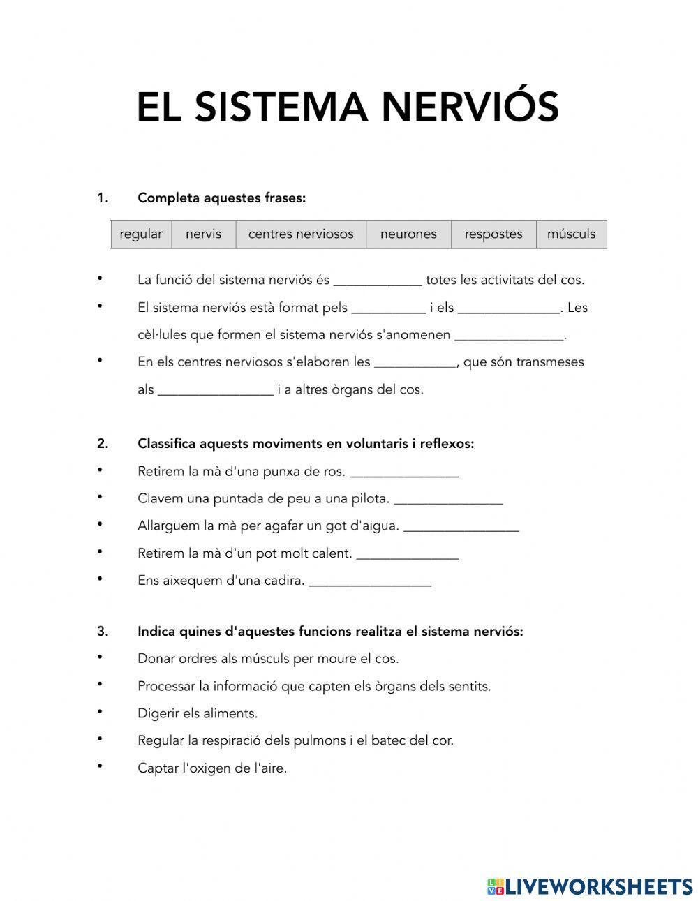 El sistema nerviós