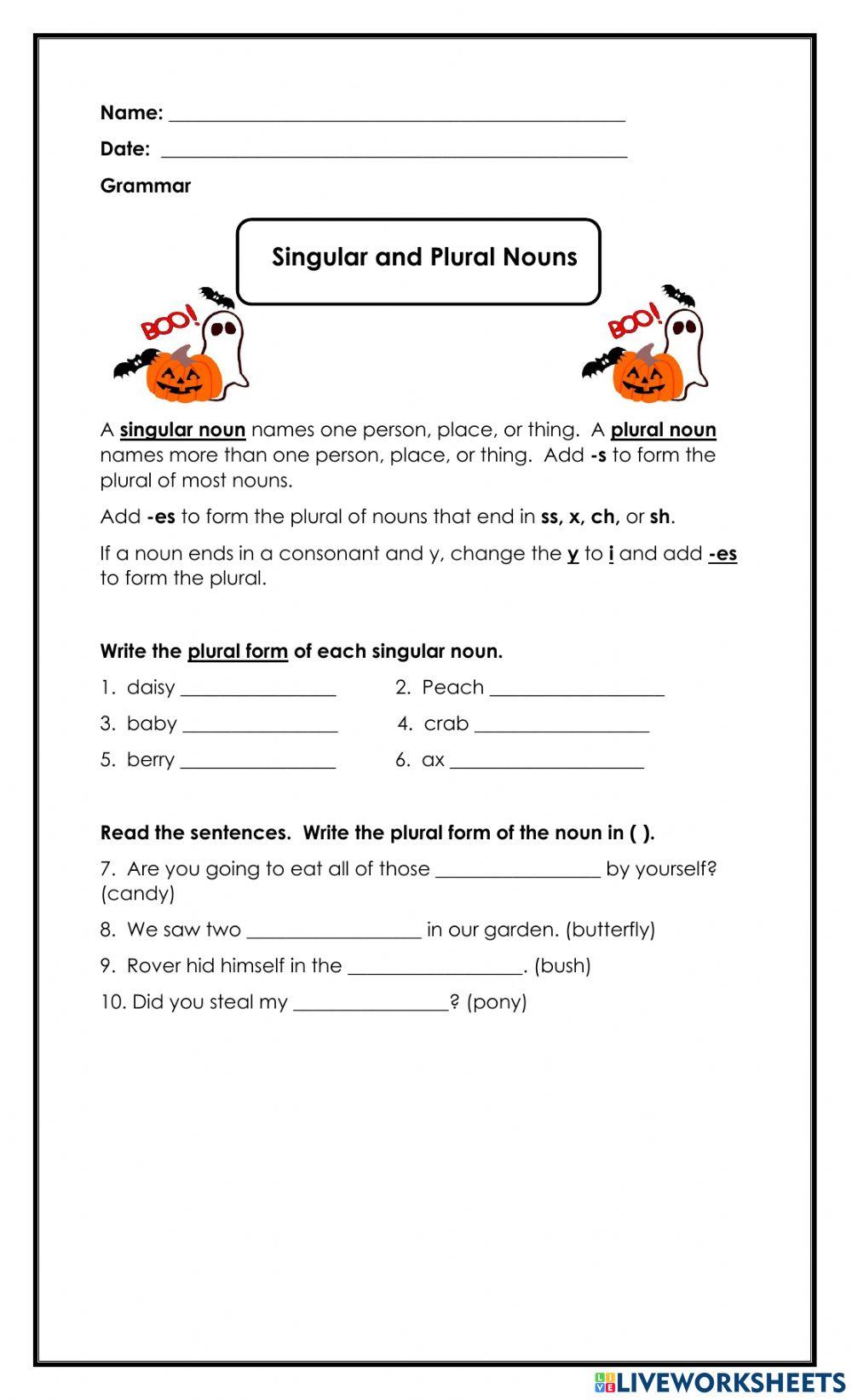 Singular and Plural Nouns L2